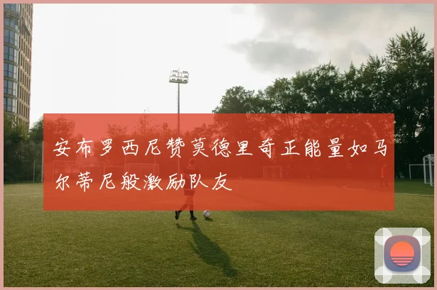 安布罗西尼赞莫德里奇正能量如马尔蒂尼般激励队友