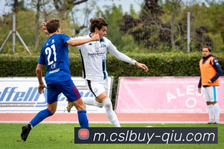 App Interface Preview