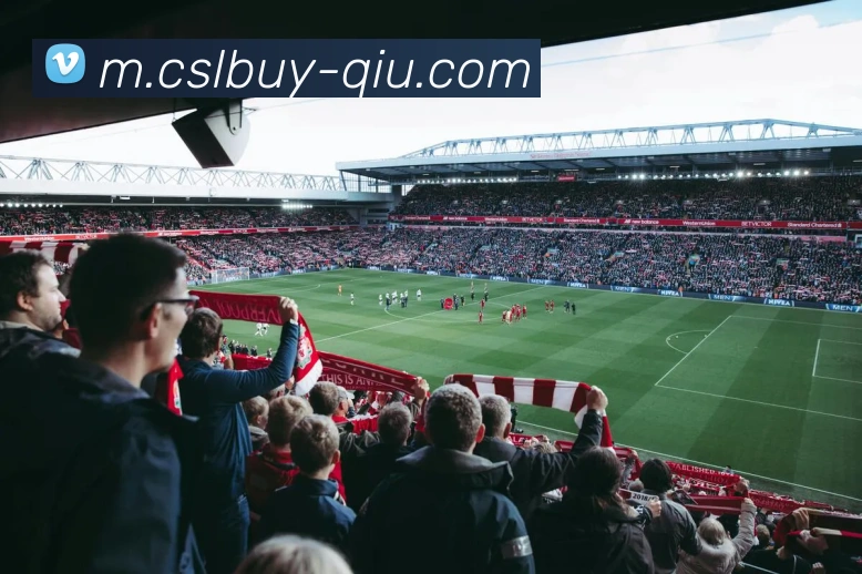 中超买球官网APP 封面图